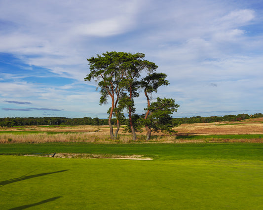 Shinnecock Hills Hole 1